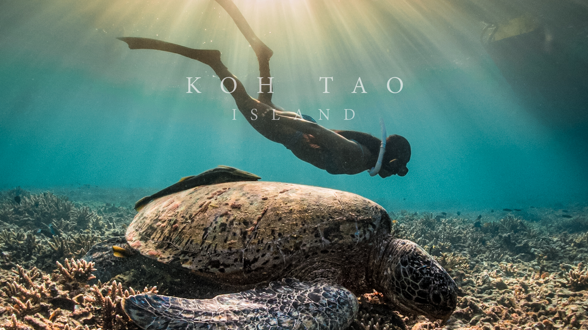 Luxevacay - Koh Samui - Island Hopping - Koh Tai Island