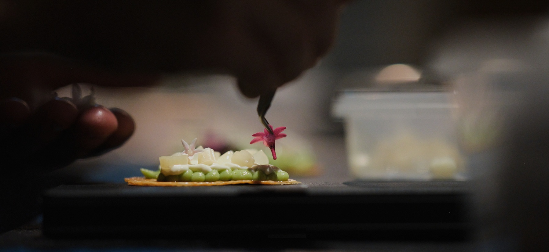 Luxevacay - Phuket - Aulis Restaurant - Banner